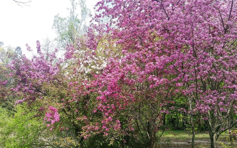 02/22 NT na cestách - Jarné Arborétum + Tépoľčianky zámok + poľovnícky zámok 30.4.22