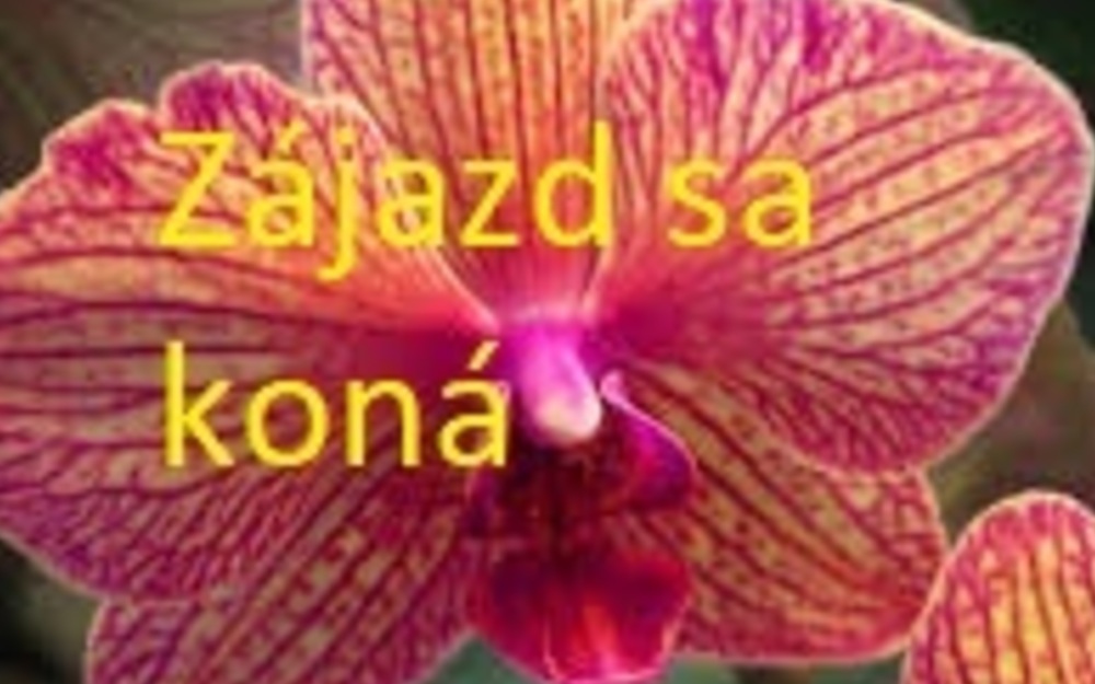 Rakúsko - Viedeň - kvetinové záhrady a výstava orchideí + prehliadka mesta 19,- €