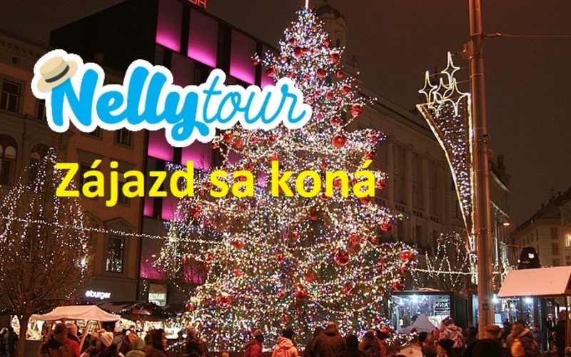 Čechy - Brno - Vianočné trhy + vodojemy na Žlutém kopci + Labyrin pod Zelným trhem