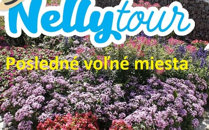 Rakúsko - Tulln - výstava kvetov