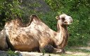 Bojnice ZOO