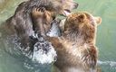 Bojnice ZOO