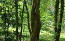 Arborétum Tesárske Mlyňany